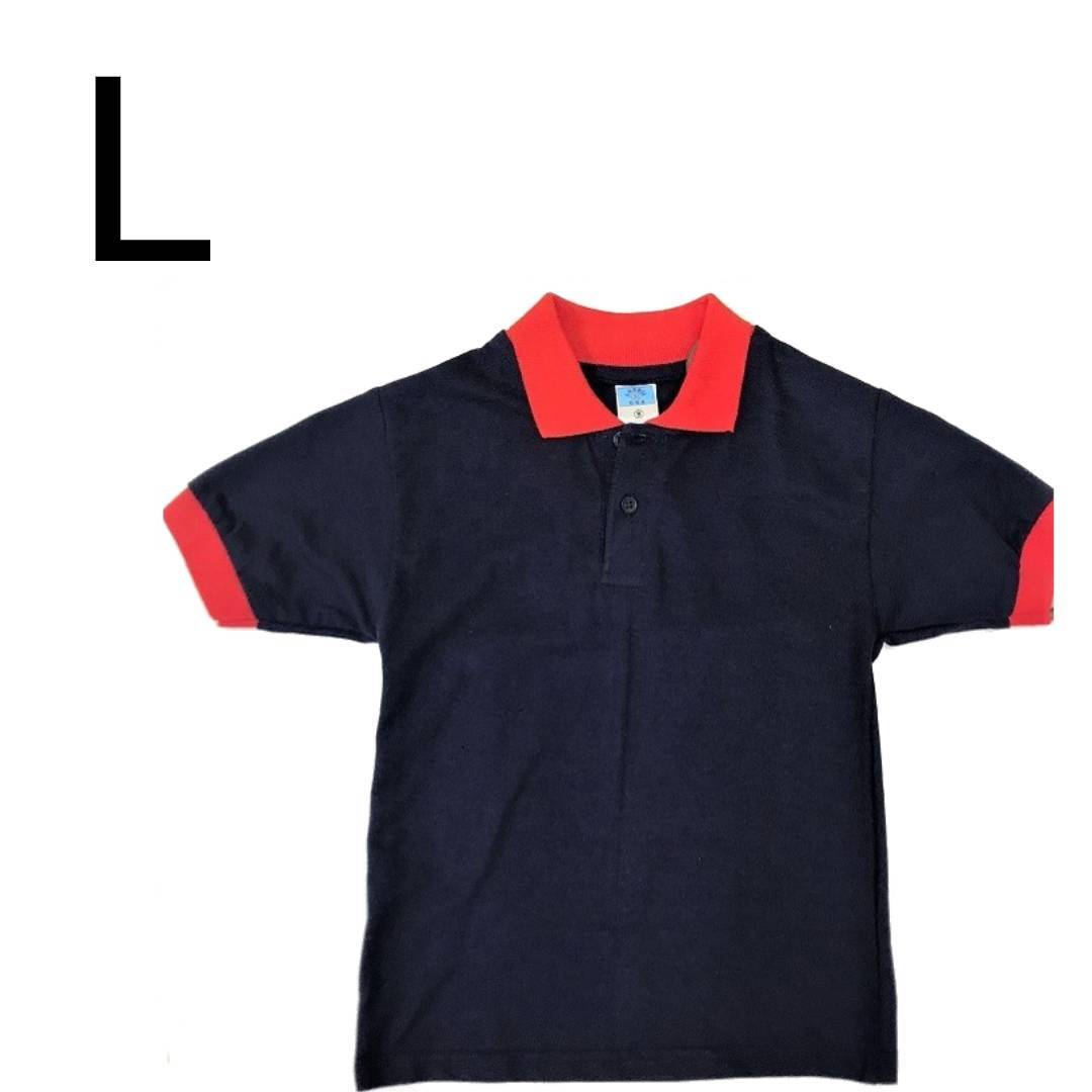 428600041556_lg.jpg