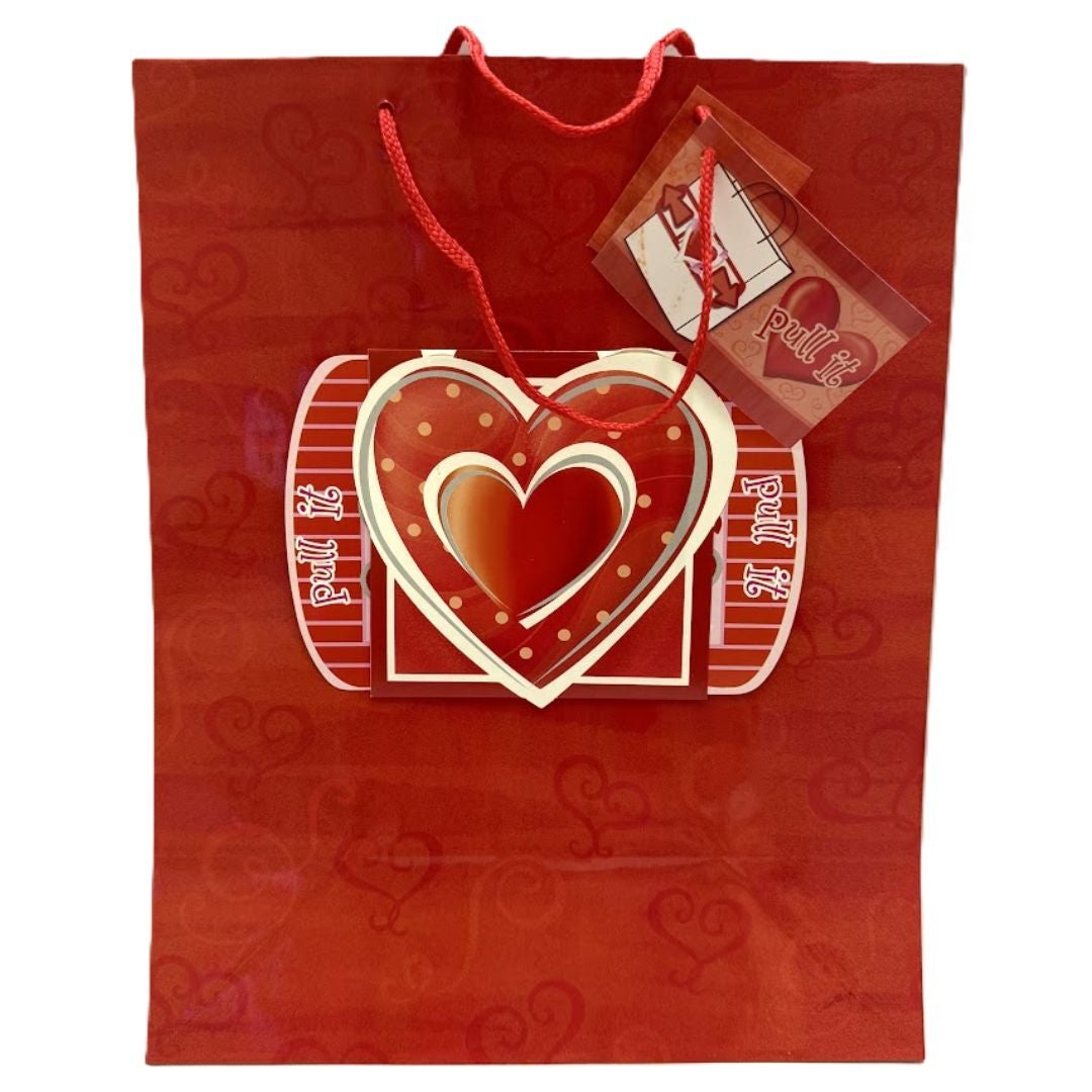V #1097 VALENTINE GIFT BAG LOVE HEARTS – Universal Wholesale