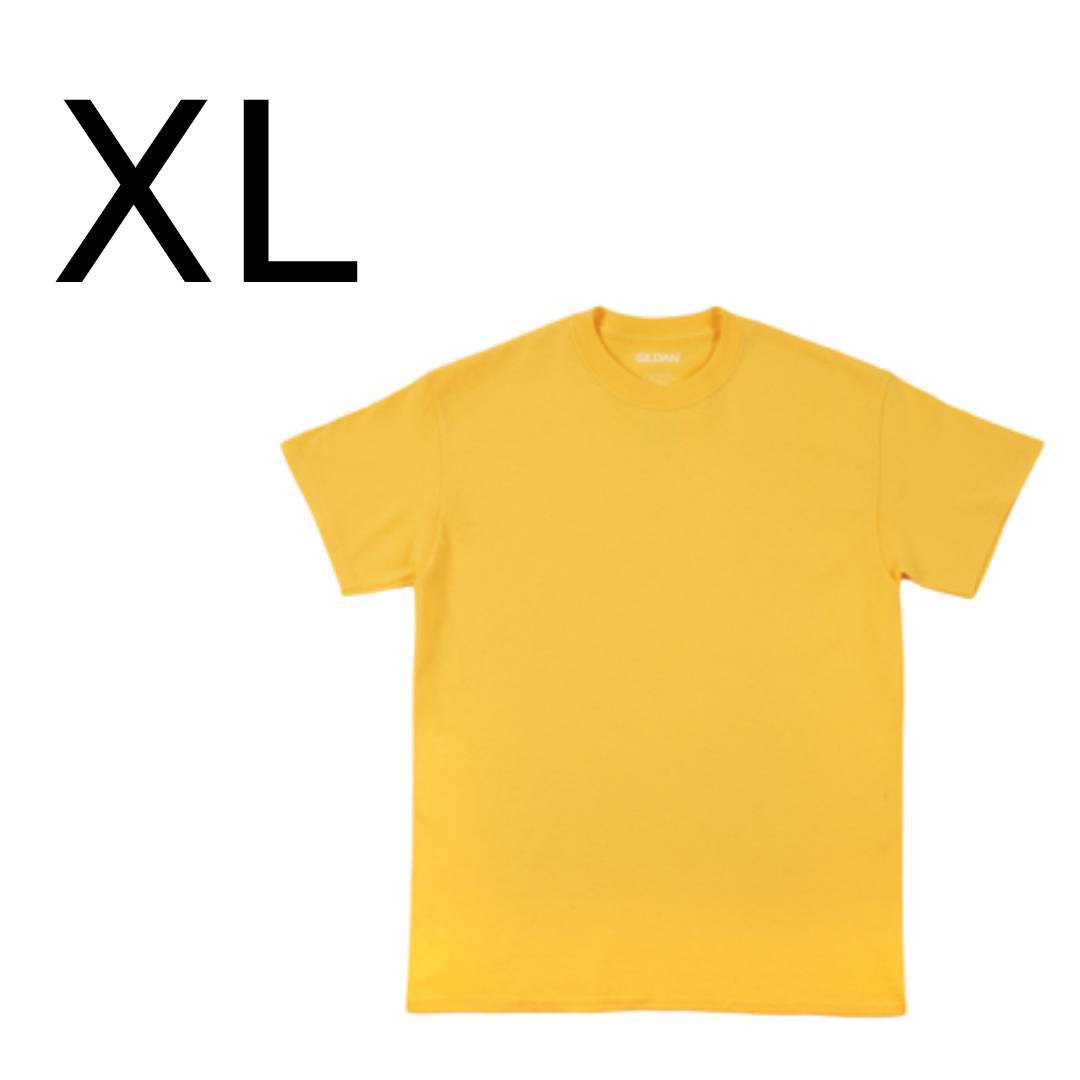 428600041560_lg.jpg